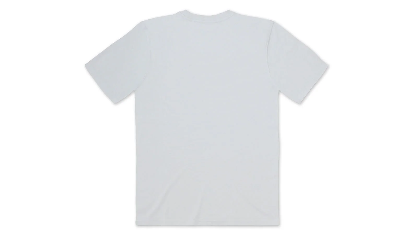 SPORT BEAR LOGO T–SHIRT - FOGGY DEW / WINDWARD BLUE - Image 2